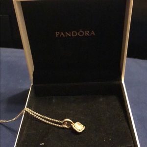 Pandora necklace!!!